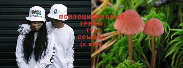 ПСИЛОЦИБИНОВЫЕ ГРИБЫ Вязьма