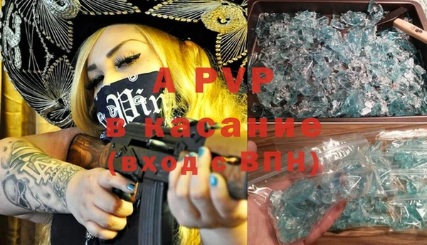 ПСИЛОЦИБИНОВЫЕ ГРИБЫ Вязьма