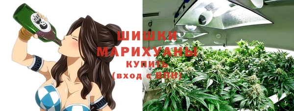 ПСИЛОЦИБИНОВЫЕ ГРИБЫ Вязьма