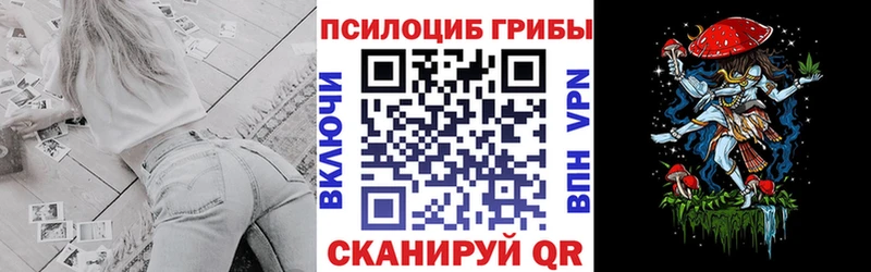 Псилоцибиновые грибы Psilocybe  мега сайт  Балаково 